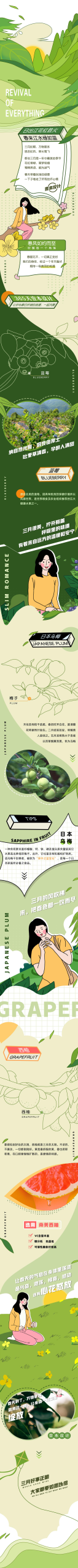 水果介绍海报H5长图psd模板分层可编辑